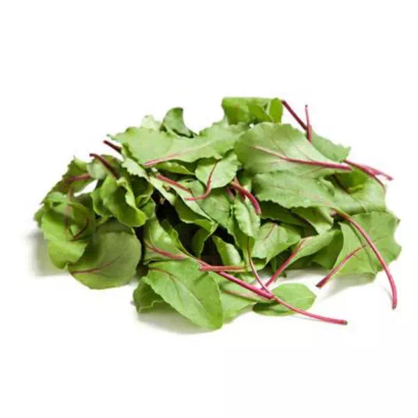 Feuille de betterave